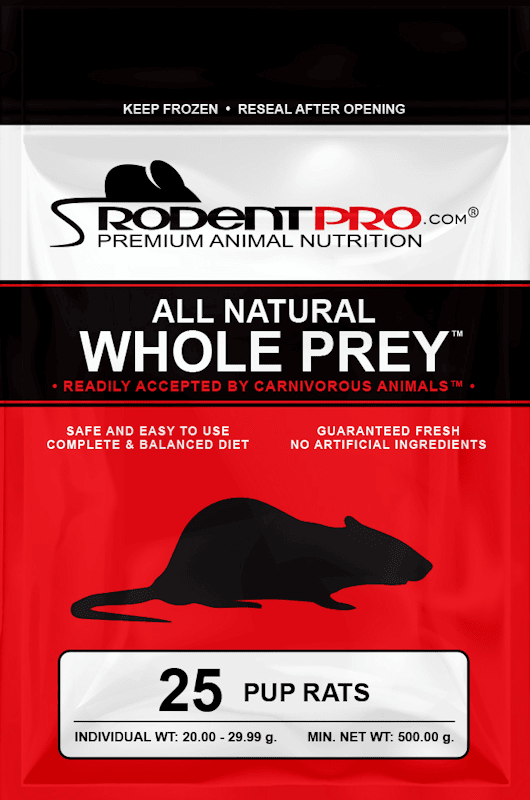 View of Feeder Rat Pups (25 Per Bag) - Frozen Rat Pups | RodentPro